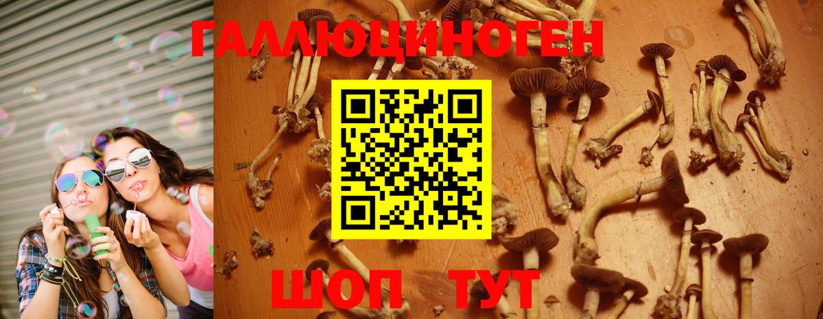 Галлюциногенные грибы Psilocybe  Псилоцибиновые грибы Cubensis  где купить   Киселёвск  Вход с VPN 