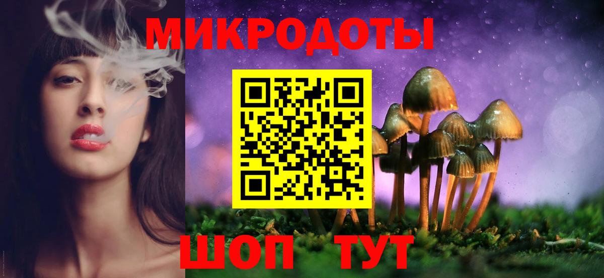 Галлюциногенные грибы Magic Shrooms Киселёвск